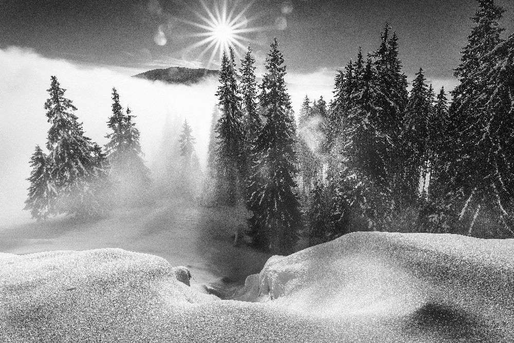 A Winter Tale ! de Sorin Onisor
