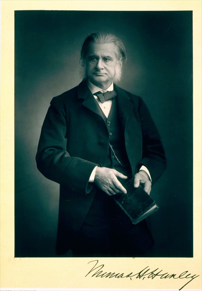 Professor Thomas H. Huxley (1825-95), biologist, portrait photograph (b/w photo)  de Stanislaus Walery