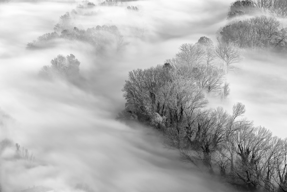 The river and the sea of fog de Stefano Oppioni