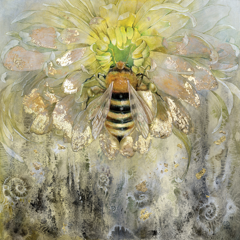Honeybee de Stephanie Law