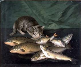 A Cat with Trout, Perch and Carp on a Ledge