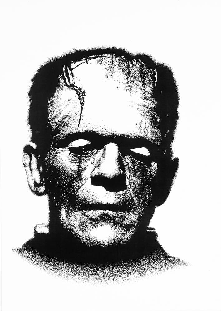 Un monstruo triste Frankenstein de Stephen Langhans