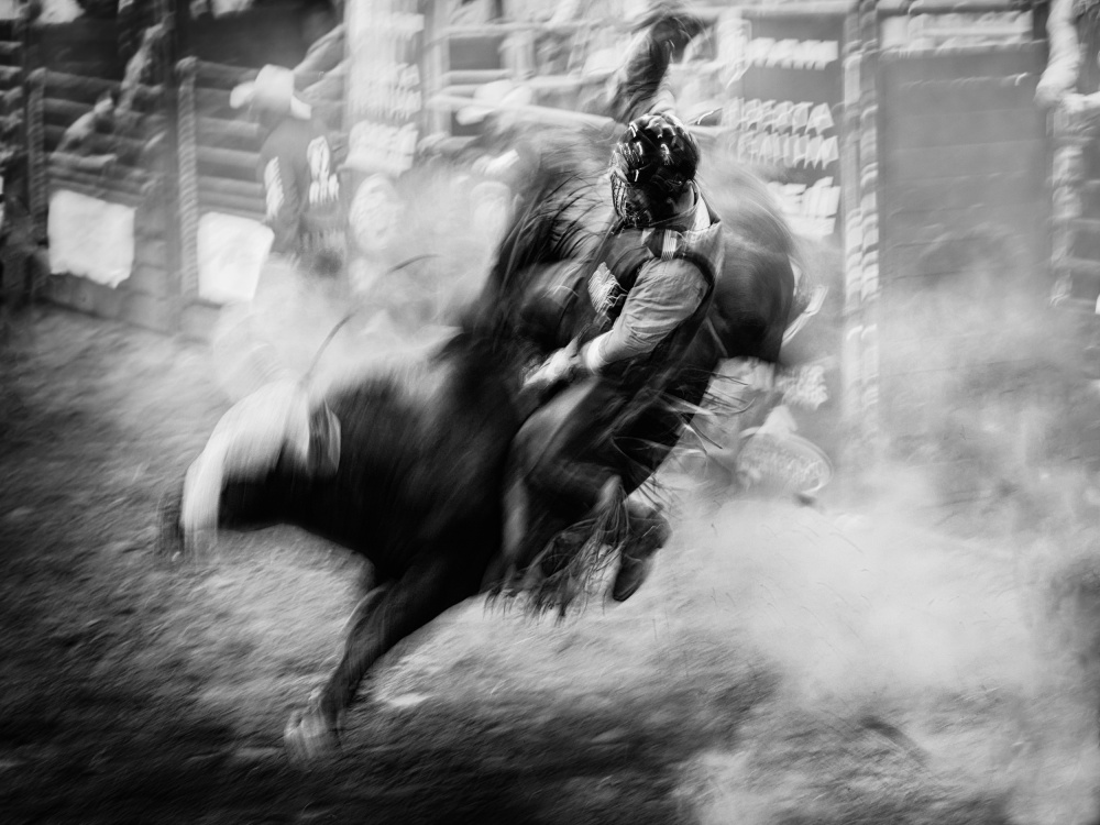Bull Riding de Steven Zhou
