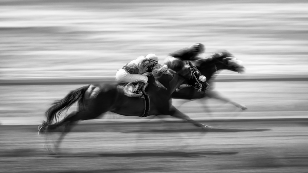 Horse Racing 7 de Steven Zhou