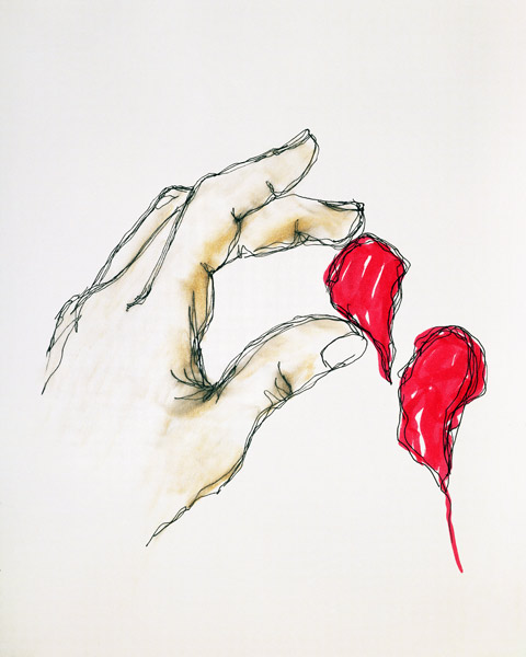 A Piece of Your Heart, 1996 (pen & w/c on paper)  de Stevie  Taylor