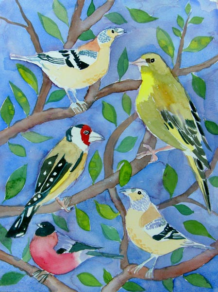 Finches de Mary Stubberfield