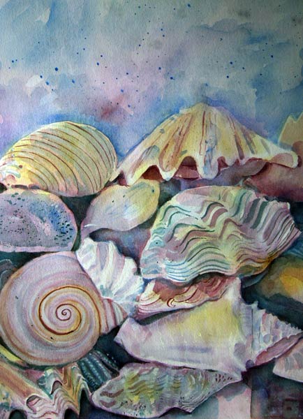 Shells de Mary Stubberfield