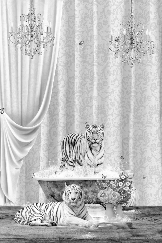 White Tigers &amp; Bubbles Black &amp; White de Sue Skellern