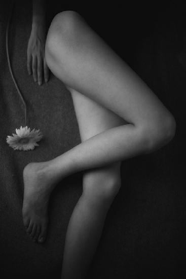 Hand, Legs, and Flower