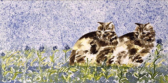 Cat Mint (w/c on paper)  de Suzi  Kennett