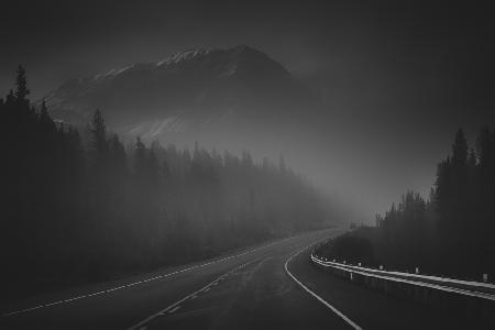 Driving in fog