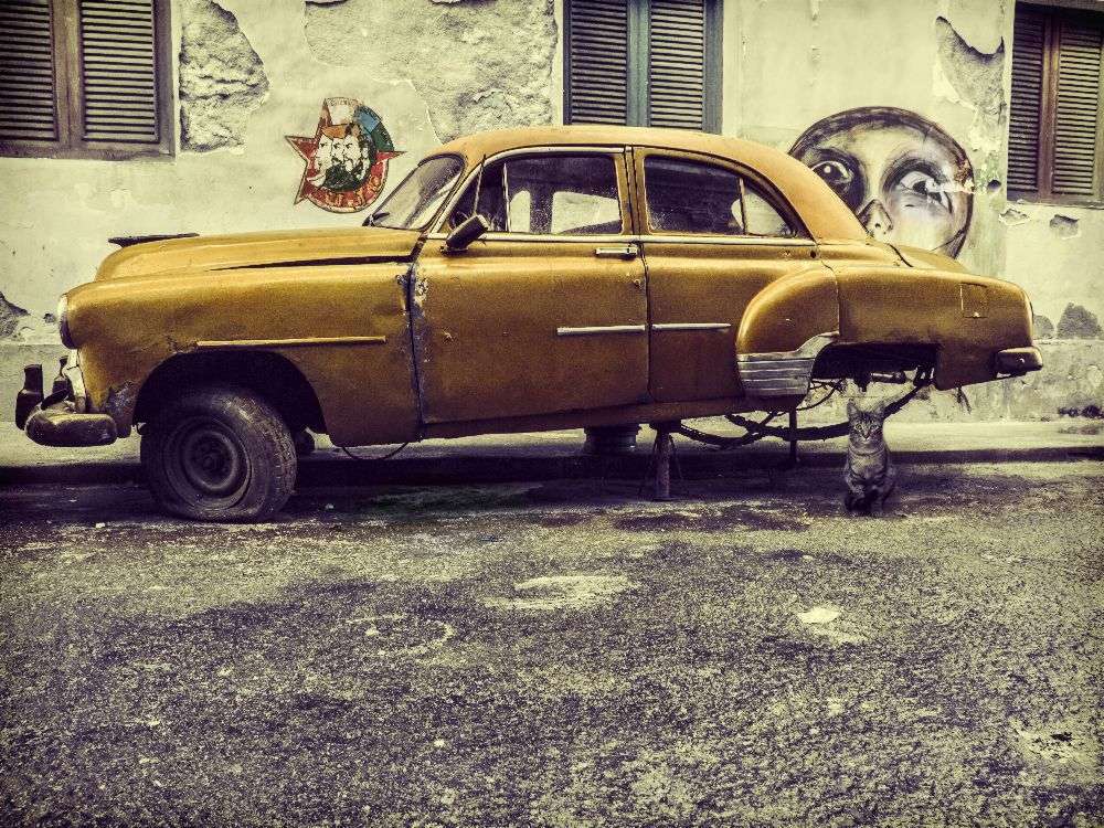 Old car/cat de Svetlin Yosifov