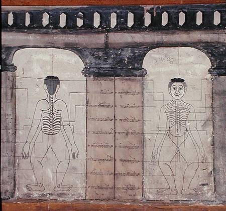 Depiction of massage points on the human body de Thai School