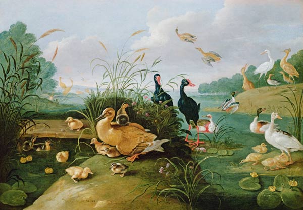 Decorative fowl and ducklings de the Elder Kessel