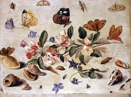 A Study of Flowers and Insects de the Elder Kessel