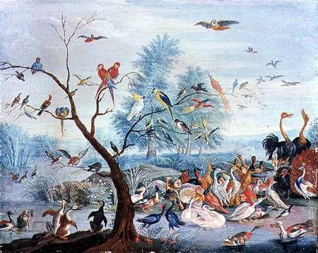 Tropical birds in a landscape de the Elder Kessel