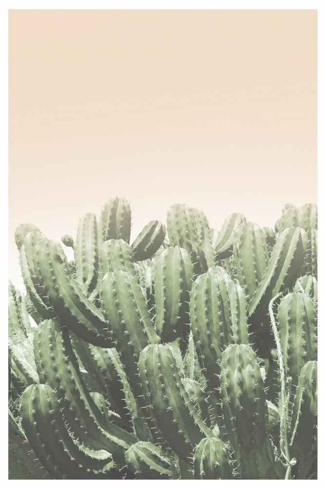 Boho Cactus No.4 de THE MIUUS STUDIO