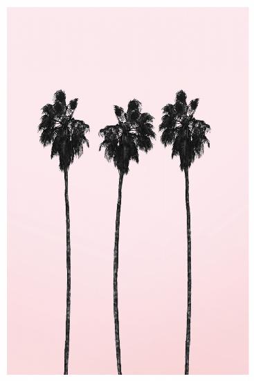Pinky Palms