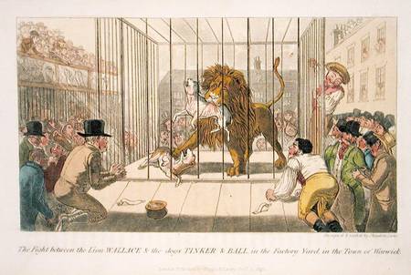 The Fight between the Lion Wallace and the Dogs Tinker and Ball in the Factory Yard in the Town of W de Theodore Lane
