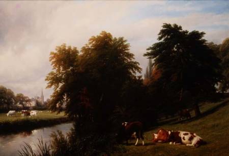 Cattle Grazing by a River de Thomas Baker