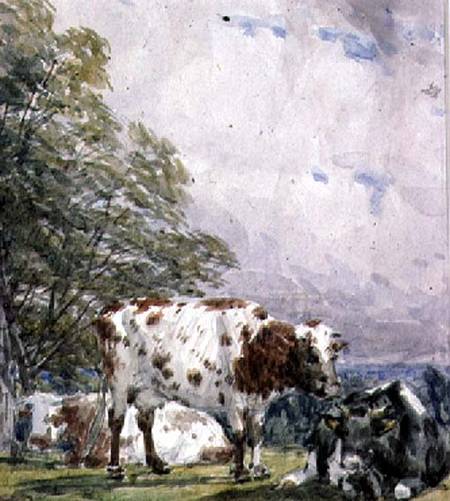 A Study of Cattle de Thomas Baker