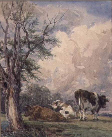 A Study of Cattle de Thomas Baker