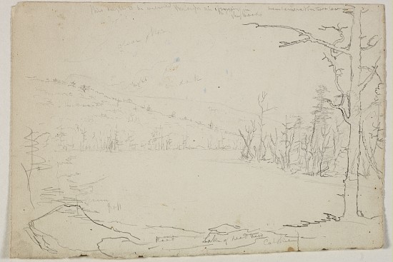Lake of Dead Trees, Catskill de Thomas Cole