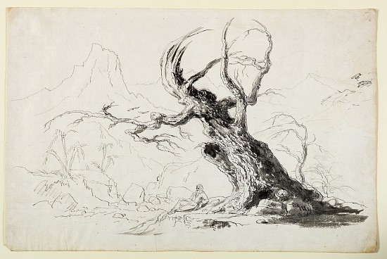 Large Gnarled Tree with Bearded Man Seated Below de Thomas Cole