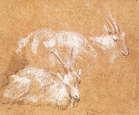 Study of Goats de Thomas Gainsborough