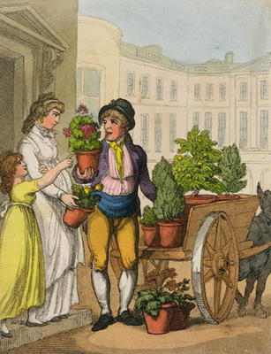 Cries of London: The Garden Pot Seller, 1799 (colour aquatint) de Thomas Rowlandson