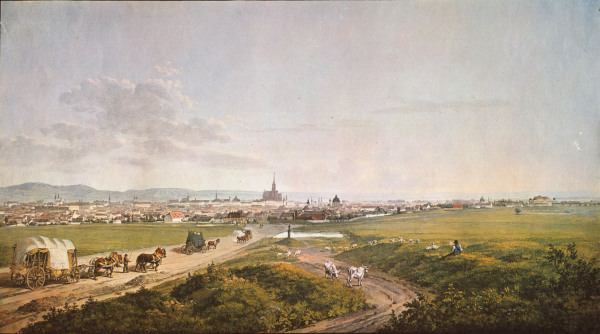 View of Vienna de Thomas Shotter Boys