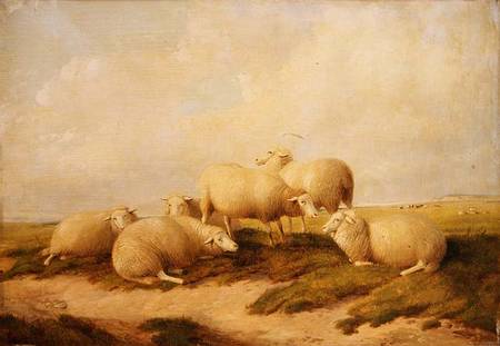 Sheep de Thomas Sidney Cooper