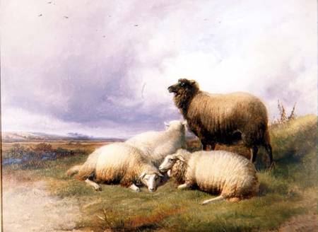 Sheep in a Landscape de Thomas Sidney Cooper