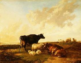 Landscape with Cows and Sheep