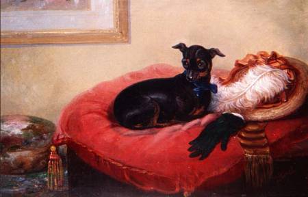Her Favourite Pet: a Manchester Terrier on a red cushion de Thomas Smythe