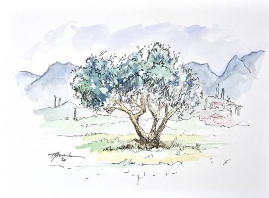 Baum in Soiano d.L. de Thomas Steinmetz