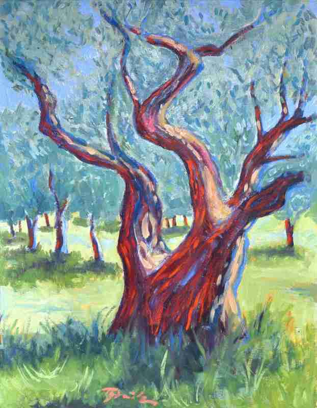 Olivos en Saint Rémy de Thomas Steinmetz