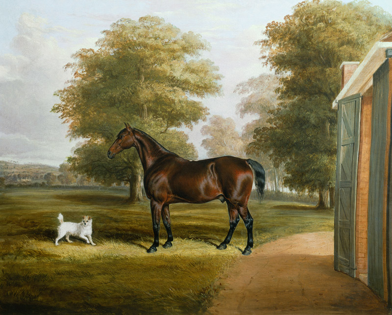 A Bay Horse with a Terrier de Thomas W. Bretland