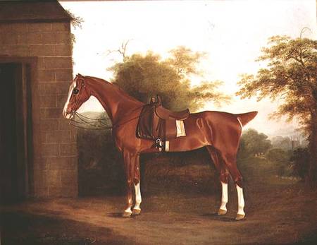 Horse with side saddle de Thomas Weaver