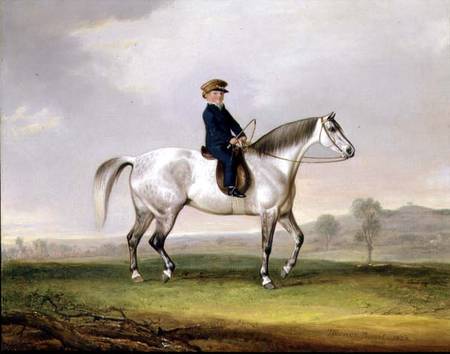 Master Edward Humphries on his Grey Pony de Thomas Weaver
