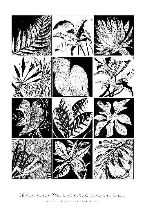 Twelve Leaves de Brigitte Thonhauser-Merk