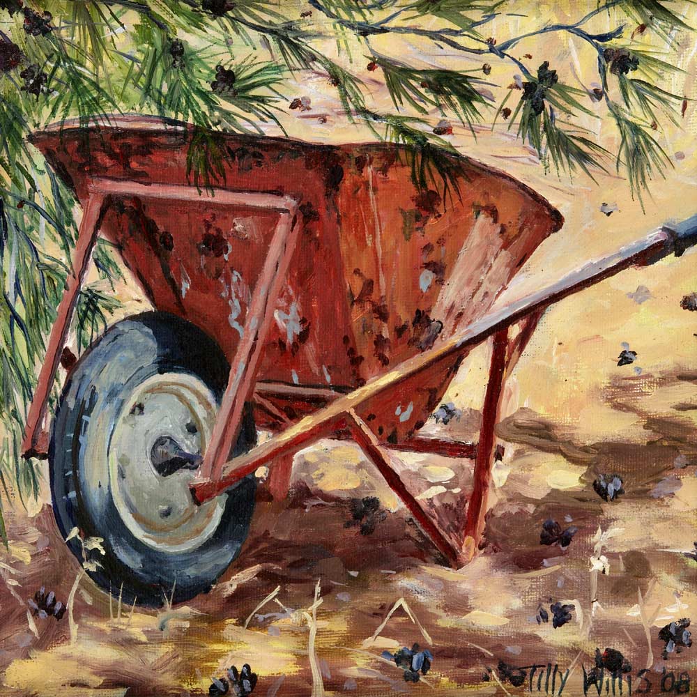 Rusty Wheelbarrow de Tilly  Willis