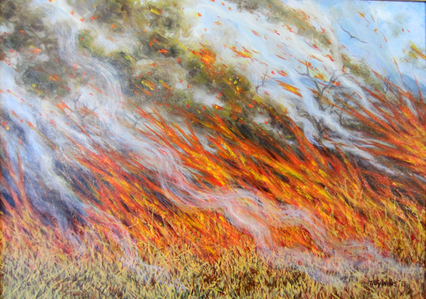 Bushfire Inferno de Tilly  Willis