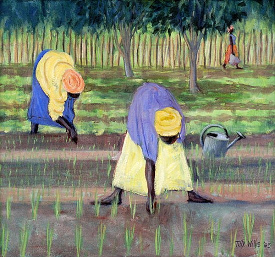 Women Gardening, 2005 (oil on canvas)  de Tilly  Willis