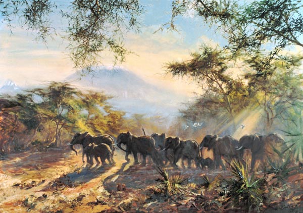 Elephant, Kilimanjaro, 1995 (oil on canvas)  de Tim  Scott Bolton
