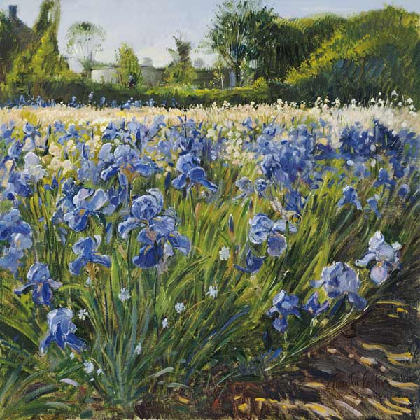 Above the Blue Irises (oil on canvas)  de Timothy  Easton