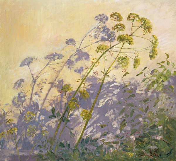Lovage, Clematis and Shadows, 1999 (oil on canvas)  de Timothy  Easton
