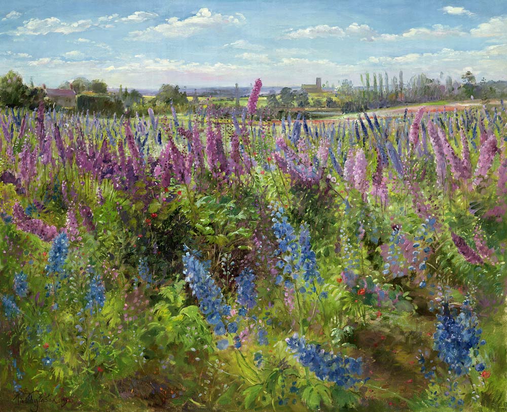 Delphiniums and Poppies, 1991  de Timothy  Easton