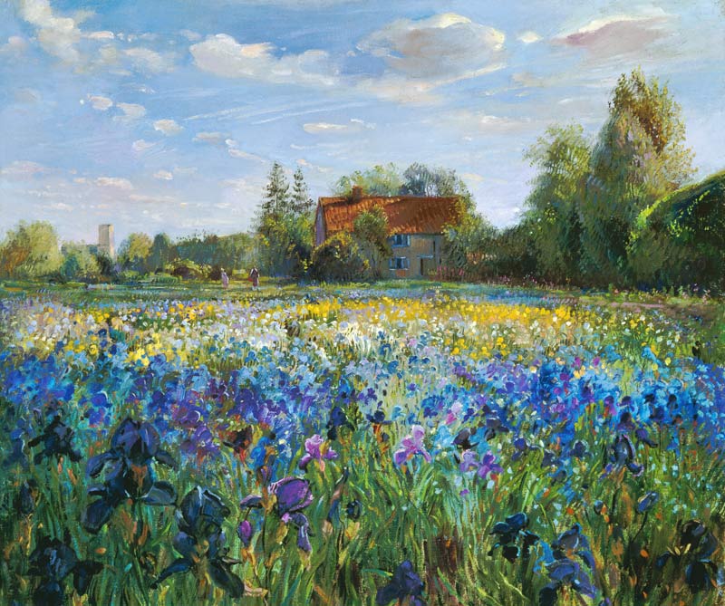 Evening at the Iris Field  de Timothy  Easton