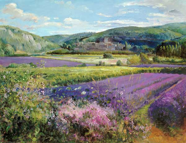 Lavender Fields in Old Provence (oil on canvas)  de Timothy  Easton